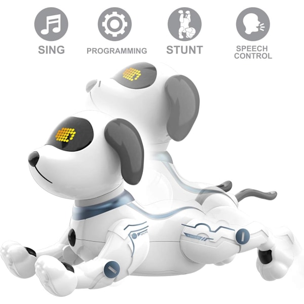 Stunt Robot Hund Leksak, Interaktiv och Programmerbar för 6-10 Åringar, Röststyrd Elektronisk Stunt och Uppladdningsbart Batteri för Längre Användning