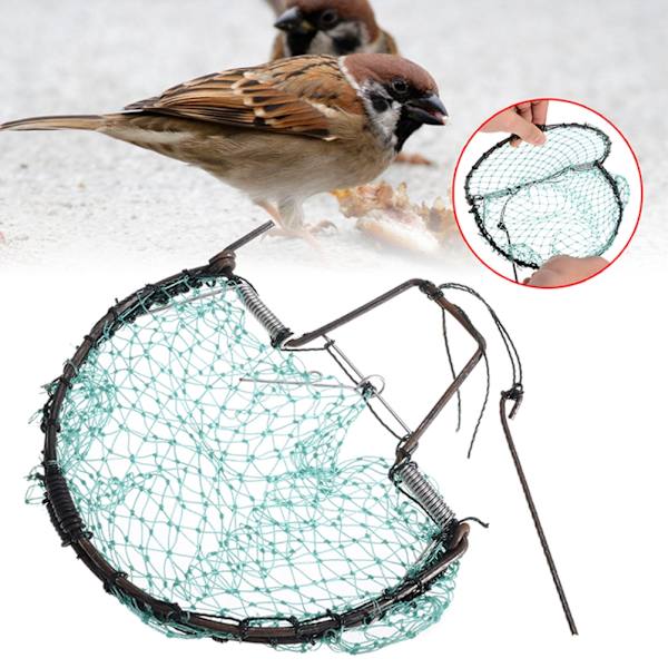 Fangstfuglnett Skadedyrbekjempelse Humane Live Trap Mesh for Sparrows Duer Vaktler og Fugler