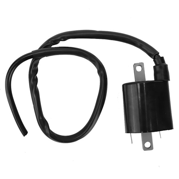 Stor förskjutning 2 stift tändspole för Yamaha Cart G2 & G9 modeller J38823102000