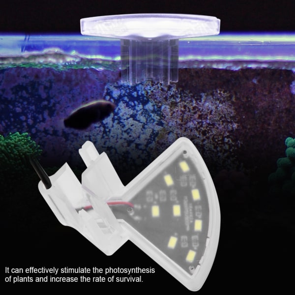 5V USB Akvarium Mini LED Spotlight Fisketank Vandplanter Lighti