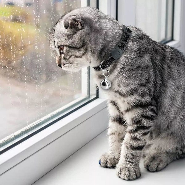 Furry Friend's Delight, Katt-halsband med Anpassad Djurbricka, Säkerhetsspänne Ger Trygghet för Kattunge Valp Kanin, Bekvämt Material för