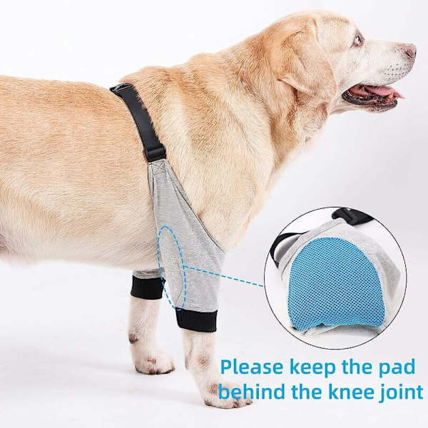 Knäskydd för Hund, Andningsbart Tyg med Stabil Passform och Justerbart Spänne för Komfort, Mjukt Vadderat Armbågsskydd Högkvalitativt Material (1