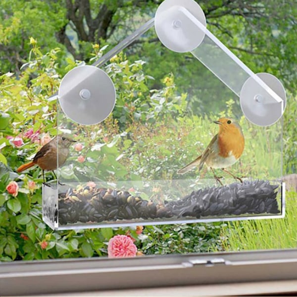 Ekorrsäker Fönsterfågelmatare, Enkel Montering på Glas Eller Släta Ytor, Transparent Design, Bekväm & Säker, Livstidsgaranti