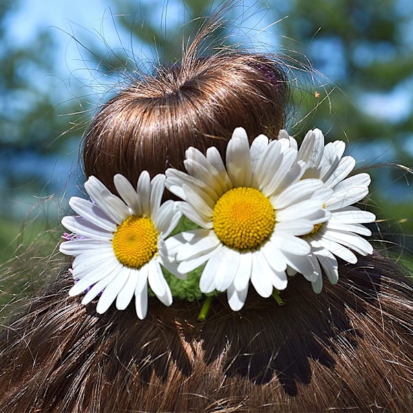 Professionell munkformare, baletthårverktyg för enkla ballerina-knutar för barn, hårknutsformare med högkvalitativt material för perfekta tillfällen