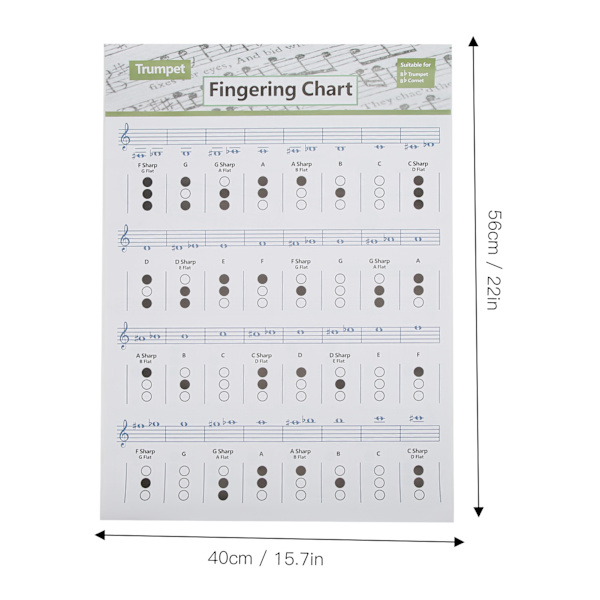 Trompet-akkorddiagram Fingering Note Music Instrument Reference Guide til hjemmeklasseStor
