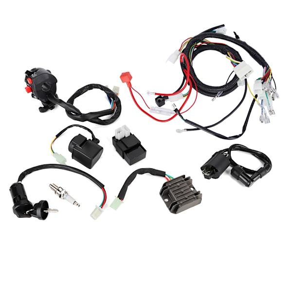 Elektrisk kabelstam ledningsnät CDI-montering tillbehör för ATV QUAD Bike 200-300cc