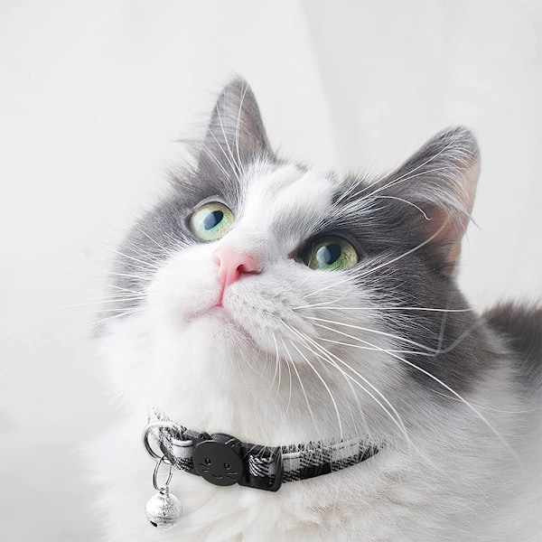 Halsband för fashionabla katter, sött och säkert spänne med robust säkerhetslås, rutig design ger en stilfull touch, handsytt för