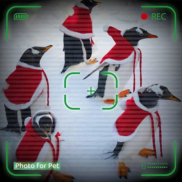 All Saints'Day Outfit Pet Cape, Cute Pet Costume Cape Warm Sof