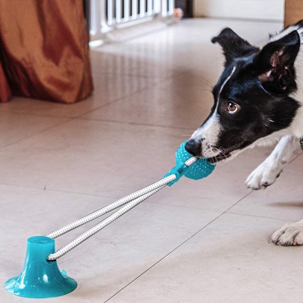 Sugkopp Hund Leksak, Husdjur Molar Bite Multifunktion Interaktiv Hållbar Rep Leksak med Kraftfull Sugkopp, Aggressiv Tugga Husdjur Leksaker för Hjälper Rengöring