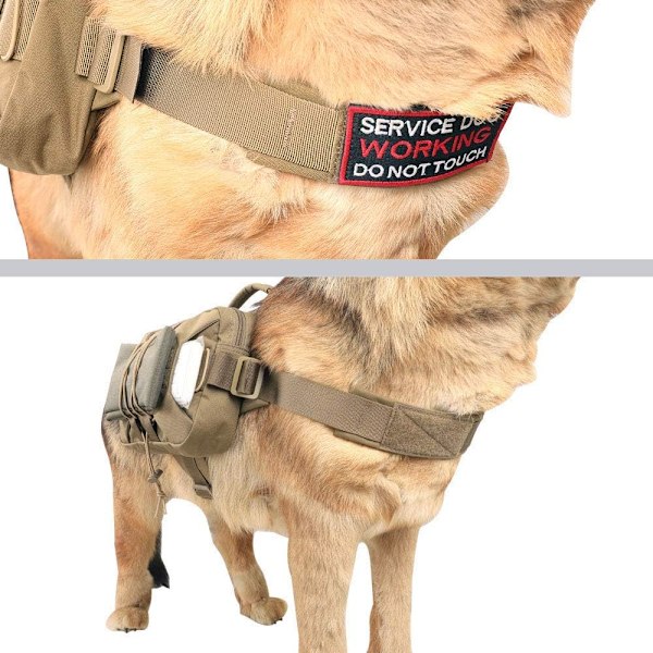 Himal Outdoors Hundryggsäck, Multifunktionell Hundväska med Gott om Förvaringsutrymme för Stora Hundar, Material som Andas för Längre Utflykter