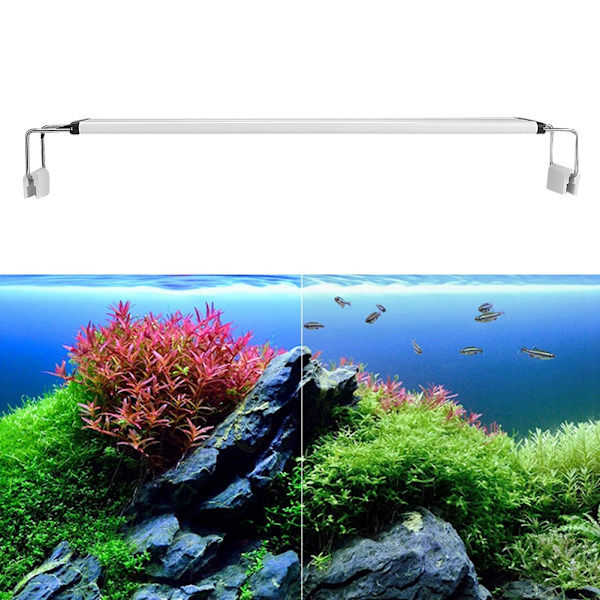 EU-stik 200-240V 6W LED-lys med høj lysstyrke og beslag til