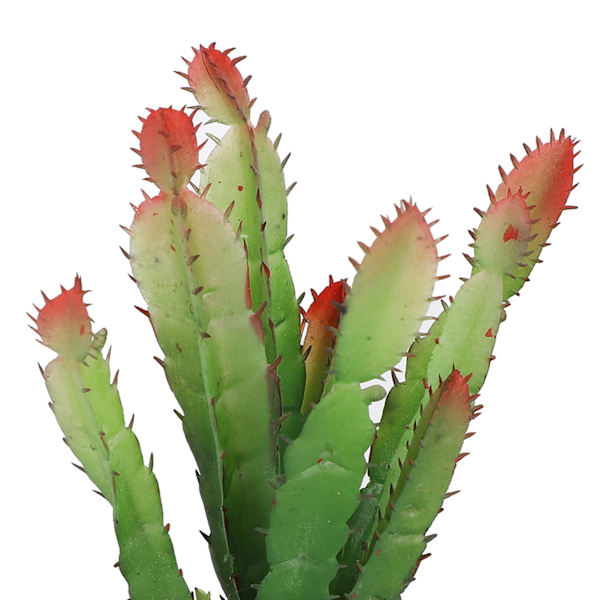 Simulert plast kaktusplante terrarium reptiler habitat dekorasjon hjemmedekor