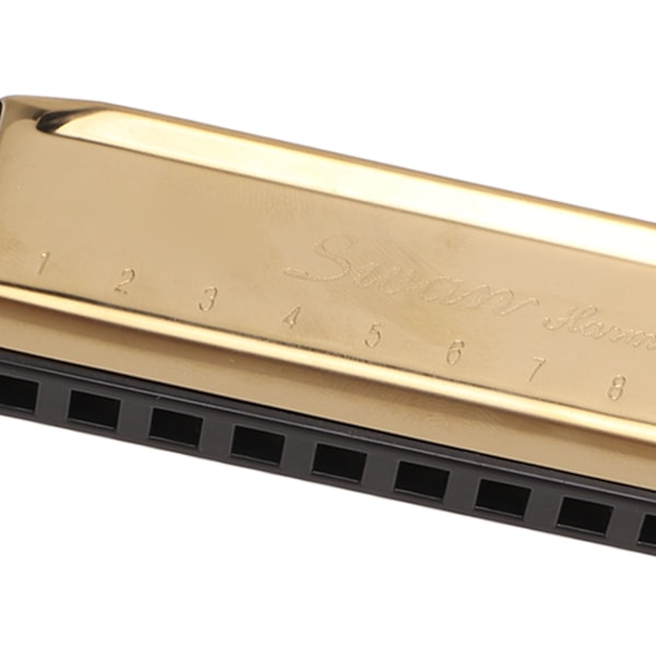 Munspel Krompläterad Kopparplatta Gyllene 10 Hål 20 Toner C-Dur Munorgel Instrument för Konsert
