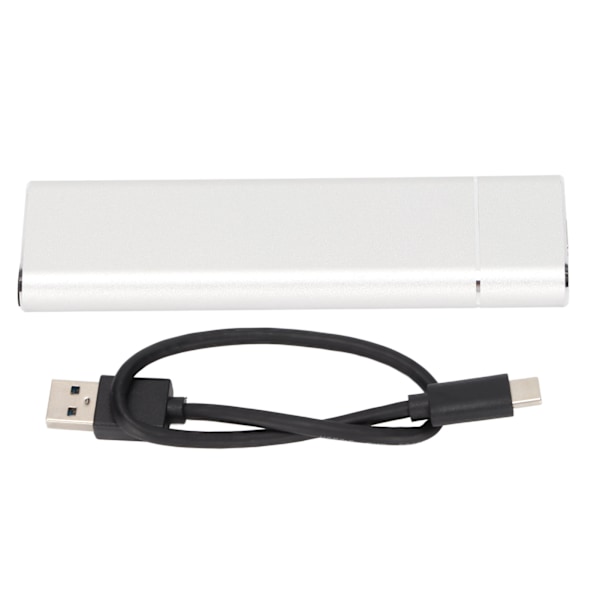 Extern hårddisk Typ C Hög Hastighet Robust Tålig Stabil Plug and Play Bred Kompatibilitet Portabel Hårddisk Vit 32GB