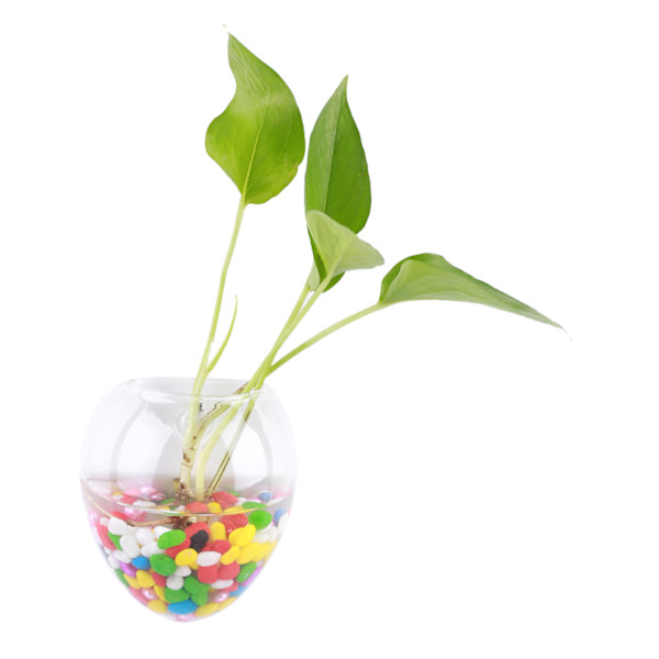 Hängande växter Blommor Glas Vas Vägg Hydroponisk Akvarium Behållare Heminredning #6