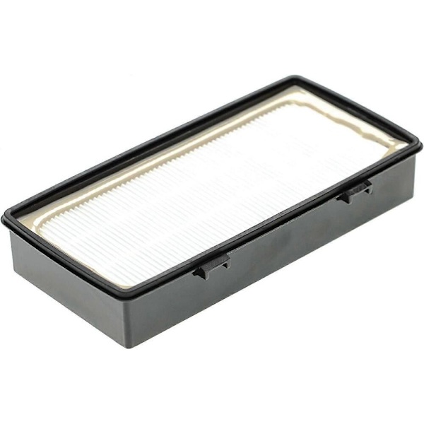 Støvsugerfilter erstatter Rs-Rt4310 støvsugerfilter; Filter (Epa)