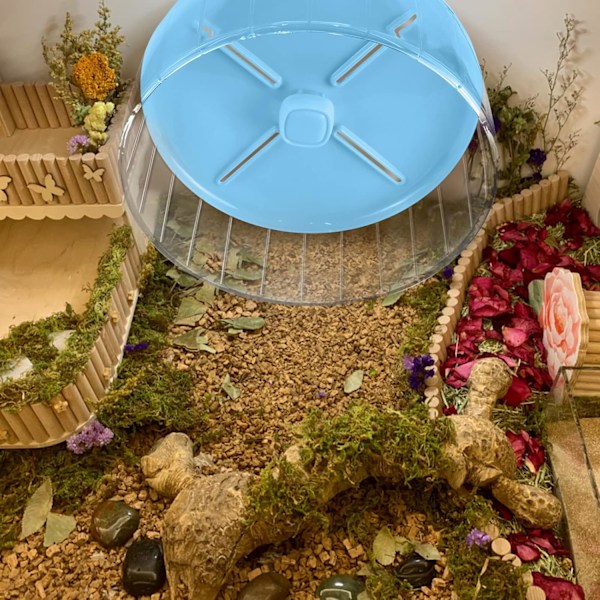 Exercise Paradise For Pets, Transparent Plast Hjul, Dubbla Metallager Hamster Löpleksak, Ultratyst Drift Främjar Korrekt Hållning,