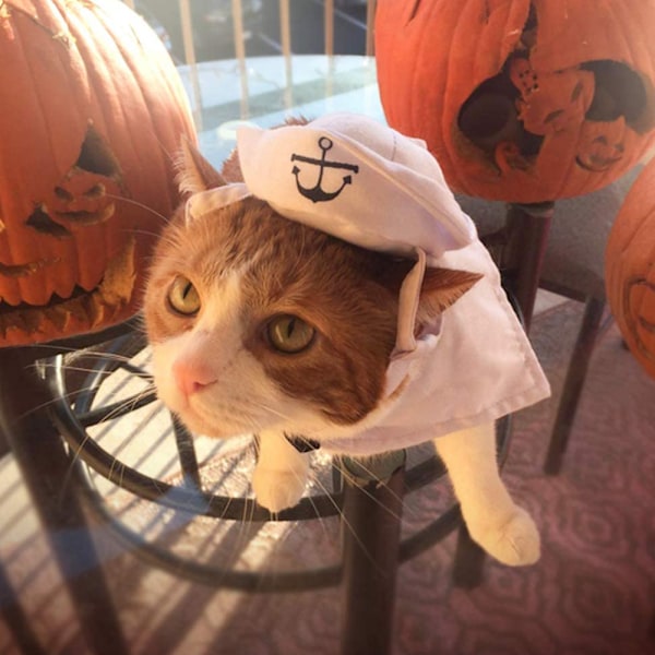 Husdjurs Sjömansdräkt, Kaptenshatt & Ankare Bandana, Justerbar Cape i Kvalitetspolyester för Lekfull Nautisk Cosplay