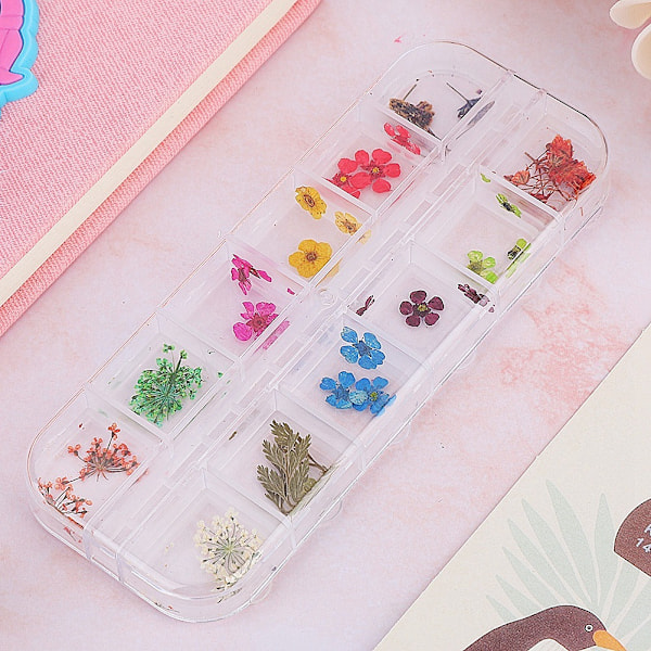 12 farver naturlige tørrede blomster til akryl UV gel neglekunst spidser design etui DIY dekoration C