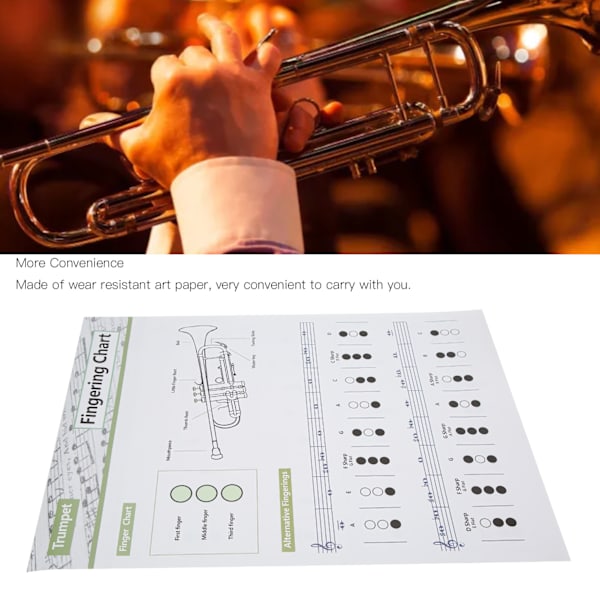 Trumpet Chord Chart Fingering Note Music Instrument Reference Guide för Hem KlassLarge