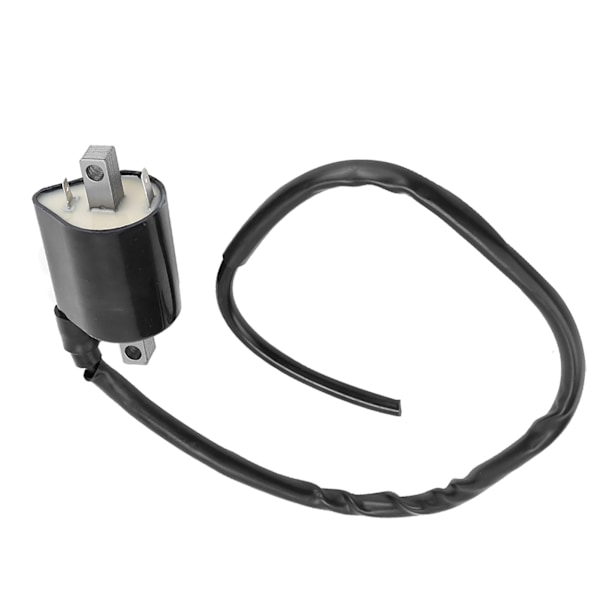 Stor förskjutning 2 stift tändspole för Yamaha Cart G2 & G9 modeller J38823102000
