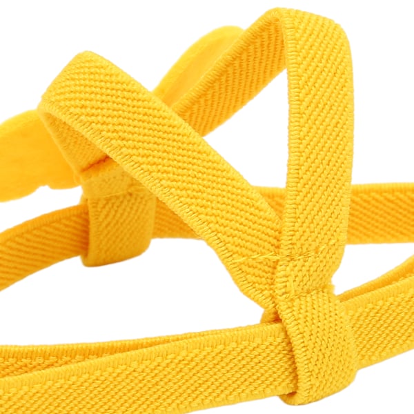 Lintuhäkki Lento-opas Talutushihna Lentojoustava Koulutusveto köysi Papukaijalle S 32cm / 12.6in Keltainen
