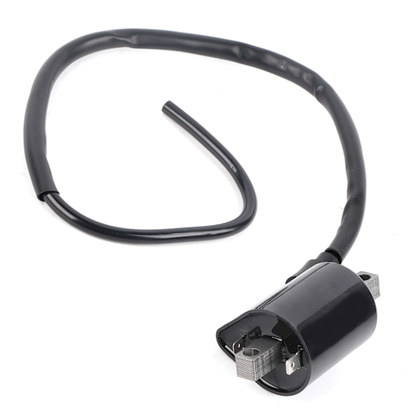 Stor förskjutning 2 stift tändspole för Yamaha Cart G2 & G9 modeller J38823102000