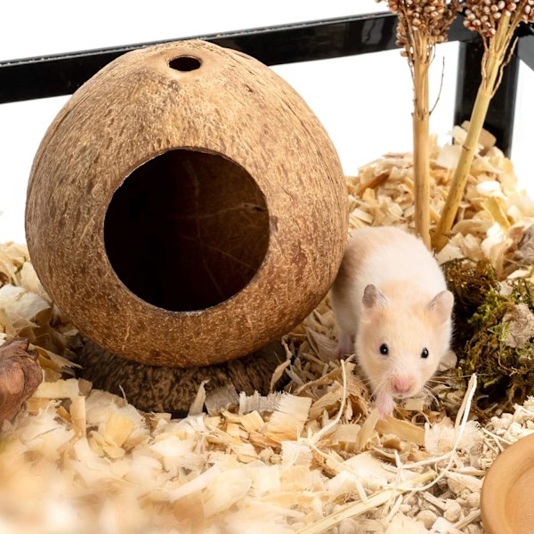 Varmt vinternäste för fåglar av kokosnötsskal, terrariumhabitatdekor för leopardgecko, kokoshus, reptilgömställe med naturligt utseende (förbättrar estetiken &