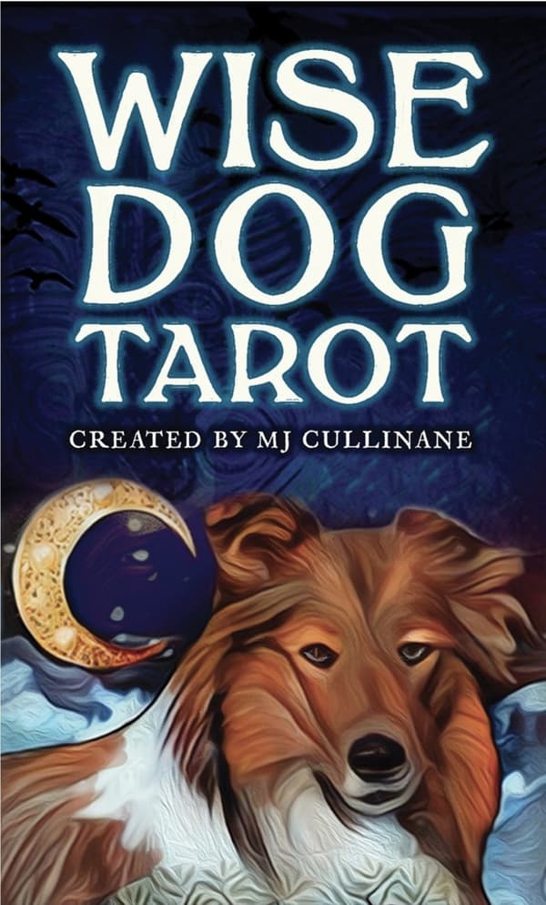Wise Dog Tarot Divination card