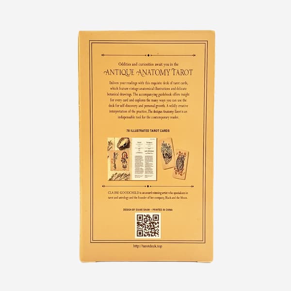 Den antika anatomin tarot