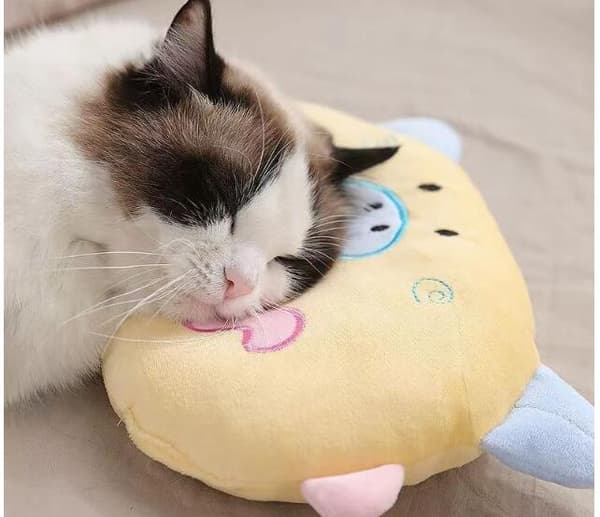 Kattkudde katt sovande griskudde gul