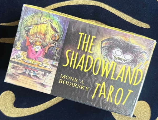 theshadowlandtarot Divination card