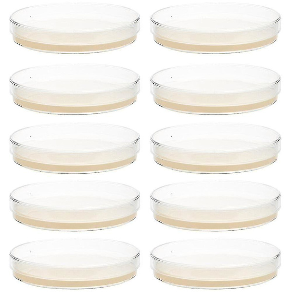 10 st förhällda agarplattor petriskålar med agar Science Experiment Supplies Premium null none