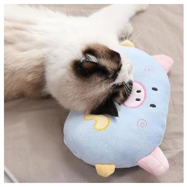 Kattkudde katt sovande griskudde blå