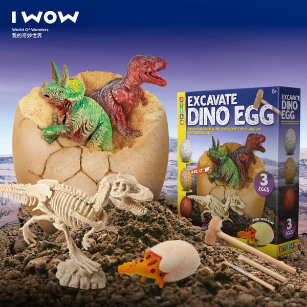 Dinosaur Egg Excavation D7117