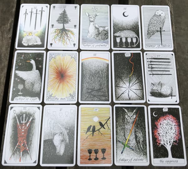 Wild unknown tarotkort Utspridning av kort