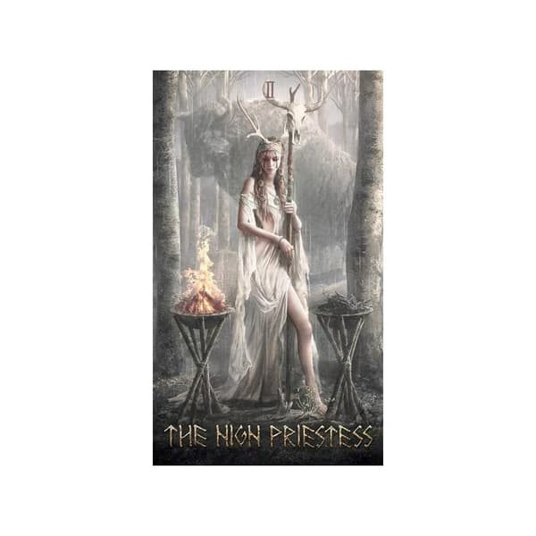 Runic Oracle Tarot Card Spådomskort