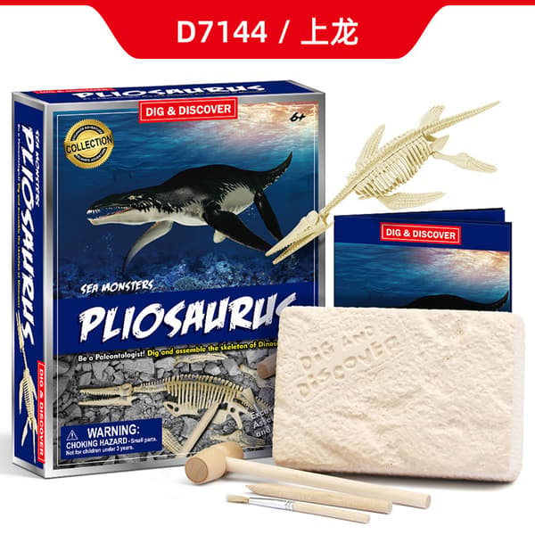 D7144 utgrävning av ichthyosaur
