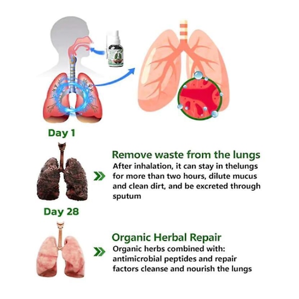 2x Respinature Herbal Lung Cleanse Mist kraftfullt lungstöd, 30 ml örtspray null none