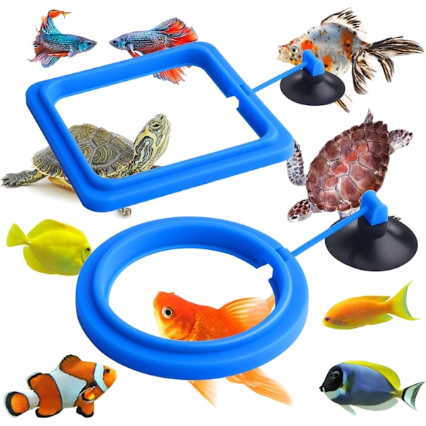 Fiskefoderring, 2 stk. Fiskefoderautomat Akvariefisk Skildpadde Tank Tilbehør Foderring Cirkel Til Guppy, Bettas, Guldfisk, Skildpadde (Blå)