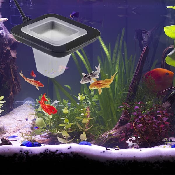 Akvariefisk Foderring Flydende Madfoder Cirkel Med Sugekop Let At Installere, Blodorme Melorme Til Guppy Guldfisk