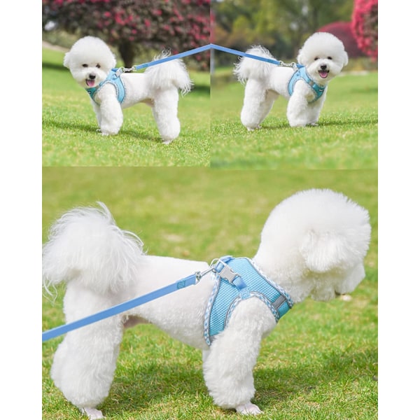 Hundsele för Små Mellanstora Hundar Ingen Dragning, Valpsele och Koppelsats, Lätt Promenad Hundsele (Blå, S) Bule