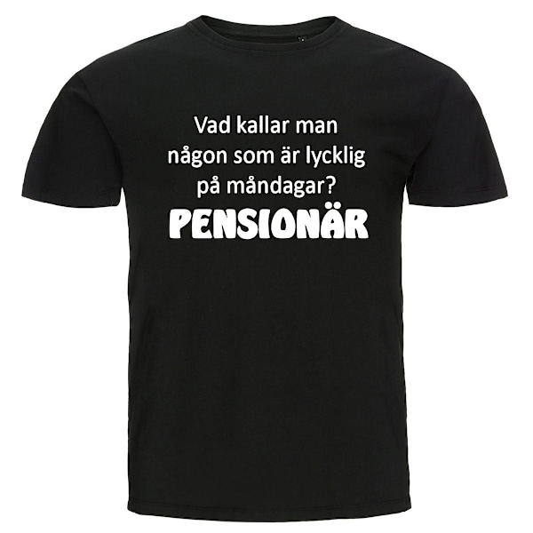 T-shirt - Vad kallar man någon, Pensionär 4XL