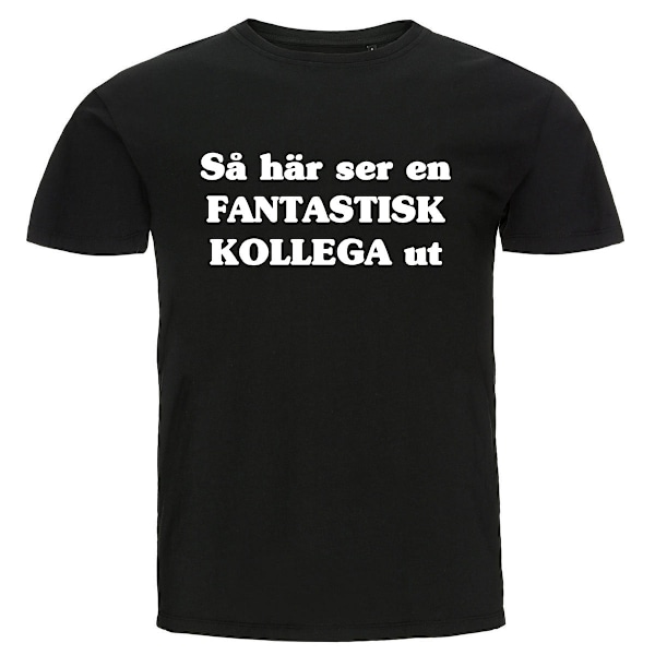 T-shirt - Så här ser en fantastisk kollega ut L