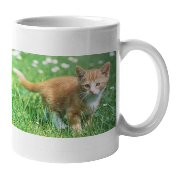 Mugg - Katt i gräset