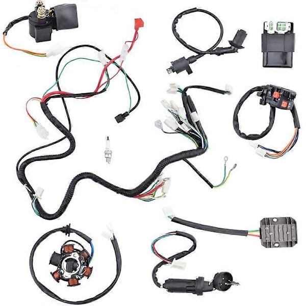 125cc 150cc 200cc 250cc terrängfordon ATV fyrhjulsdriven elfordon Zongshen Lifan Duka Razor CDI-kablage statoraggregat ledningar - Xin