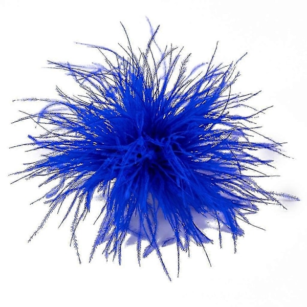 Höyhenrintakoru Huivi Klipsi Korut Asusteet Naisten Vaatteiden Koristeet-Xin Royal Blue