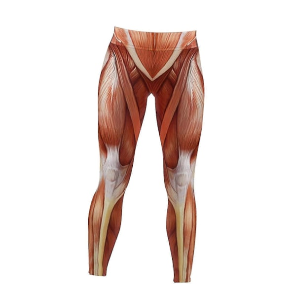 Högmidjade leggings för kvinnor Anatomiska muskelleggings Muskeltryckta träningsbyxor Leggings för flickor Pilates Vår Kvinnor-xindaren L