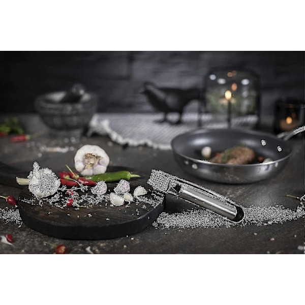 Rikon Epicurean Hvitløkspresse, Rustfritt Stål, 16,5 x 2,5 x 3,8 cm, Sølv-Xin