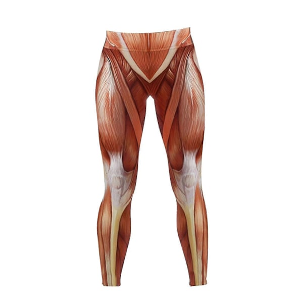 Högmidjade leggings för kvinnor Anatomiska muskelleggings Muskeltryckta träningsbyxor Leggings för flickor Pilates Vår Kvinnor-xindaren L